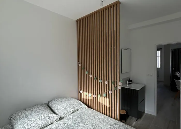 Appartement Hyper-Centre Ville